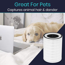 Load image into Gallery viewer, Vive Air Purifier