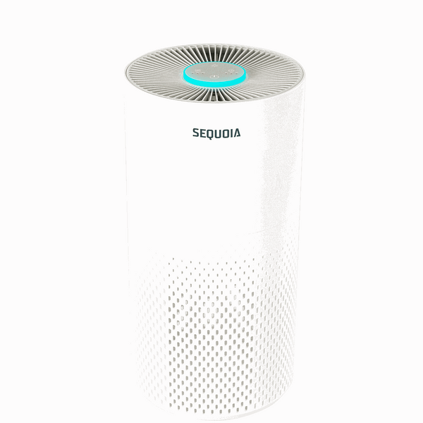 Vive Air Purifier