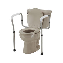 Load image into Gallery viewer, Toilet Safety Rails (ITEM # 8200-R)

